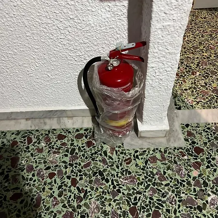 Pelekan And Afroditi 31 Pefkochori